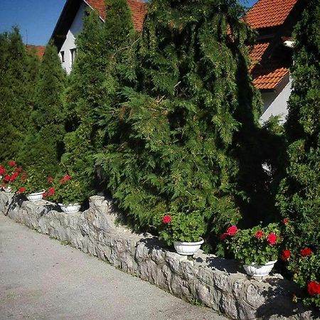 Bozovic Mv Apartments Zlatibor Exterior photo