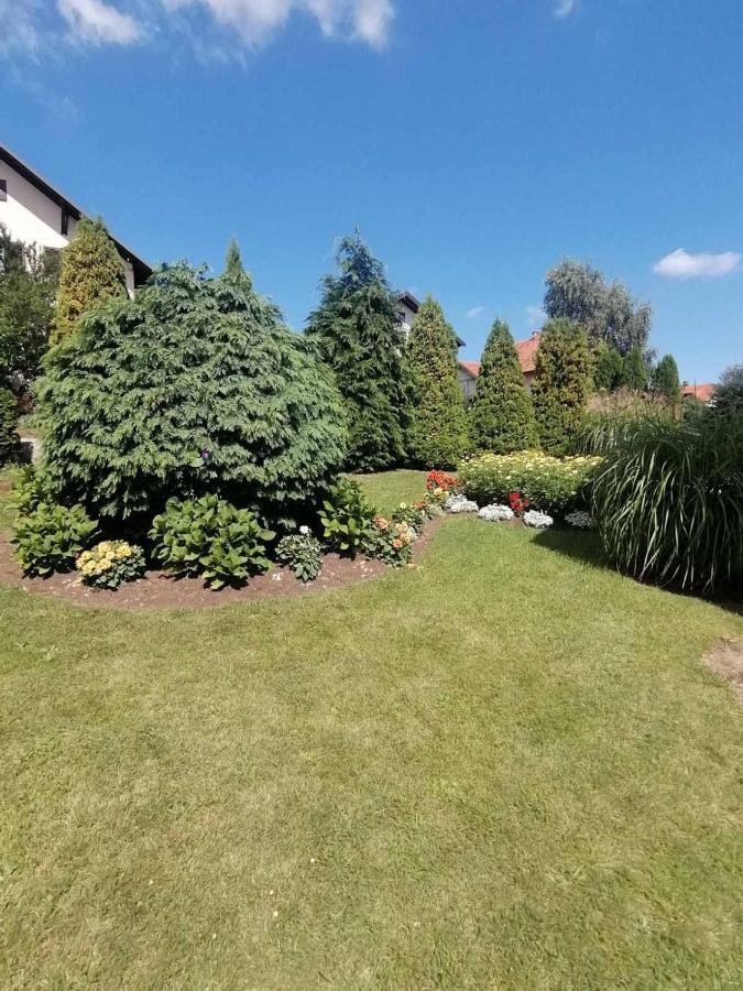 Bozovic Mv Apartments Zlatibor Exterior photo