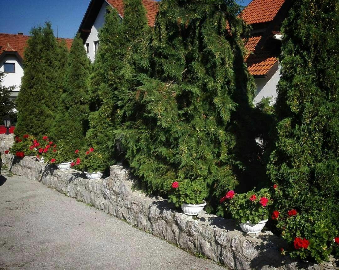 Bozovic Mv Apartments Zlatibor Exterior photo